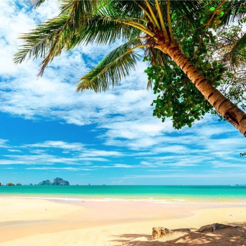 Trabalhador é condenado por má-fé após apresentar atestado e viajar à praia