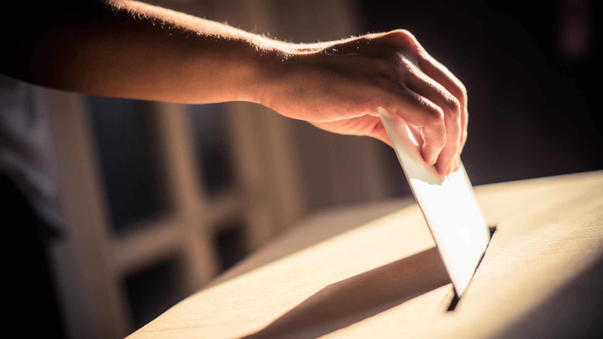 Direito ao sufrágio: entenda mais sobre o voto no Brasil