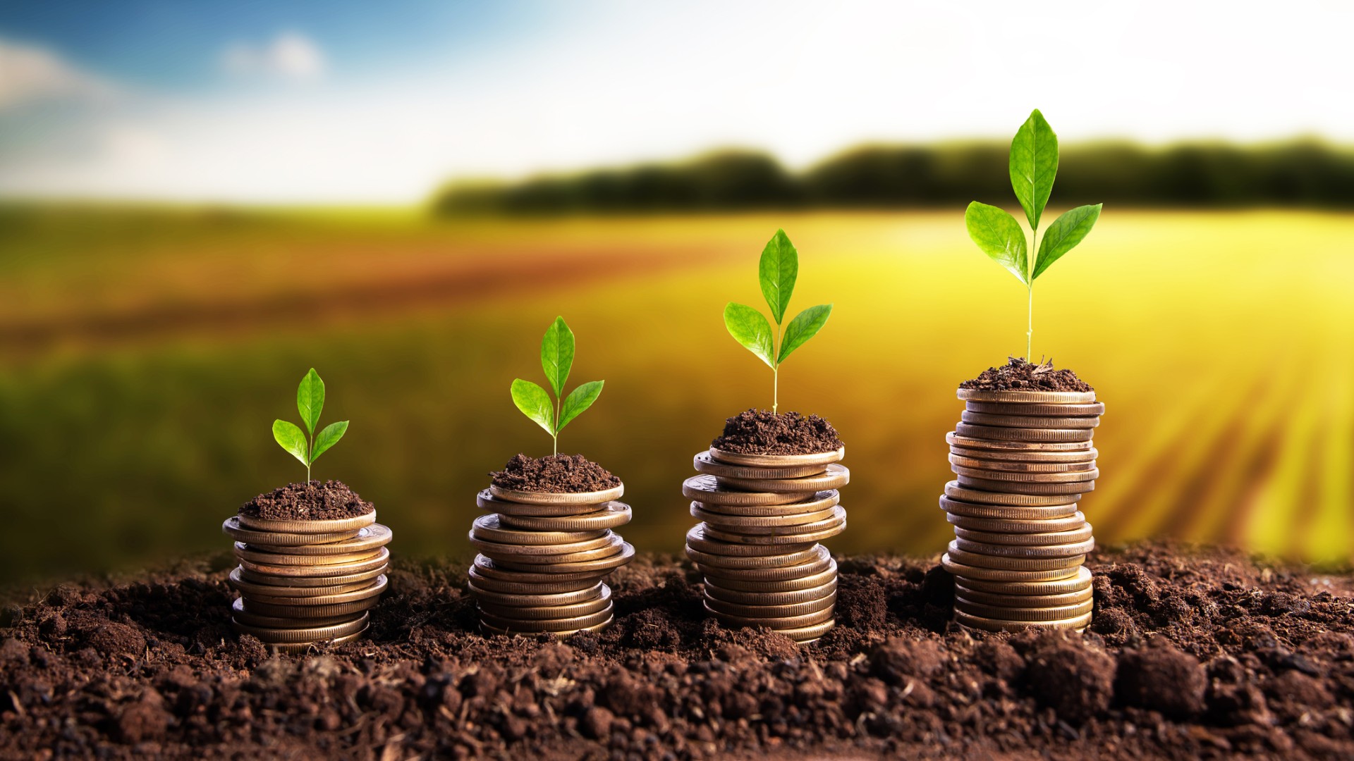 Conheça os 4 principais tipos de crédito rural