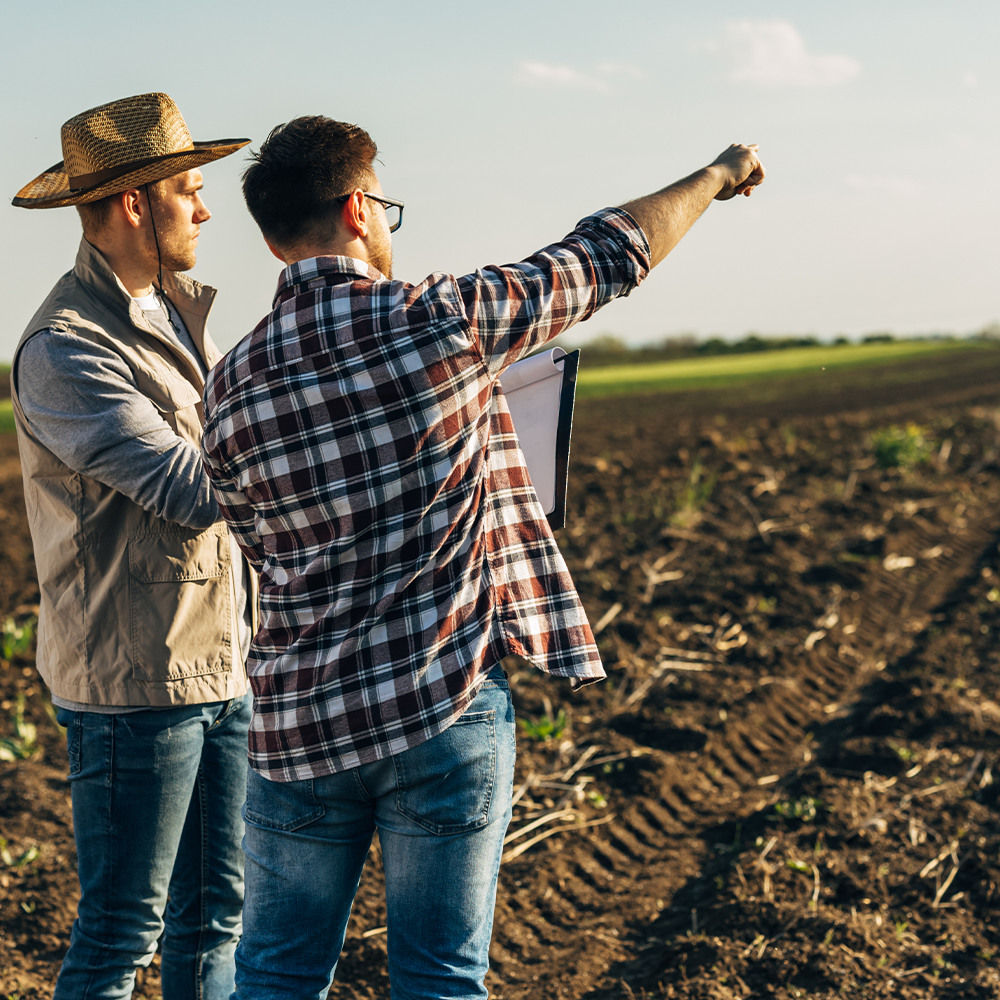 Sociedades Agropecuárias e Arbitragem